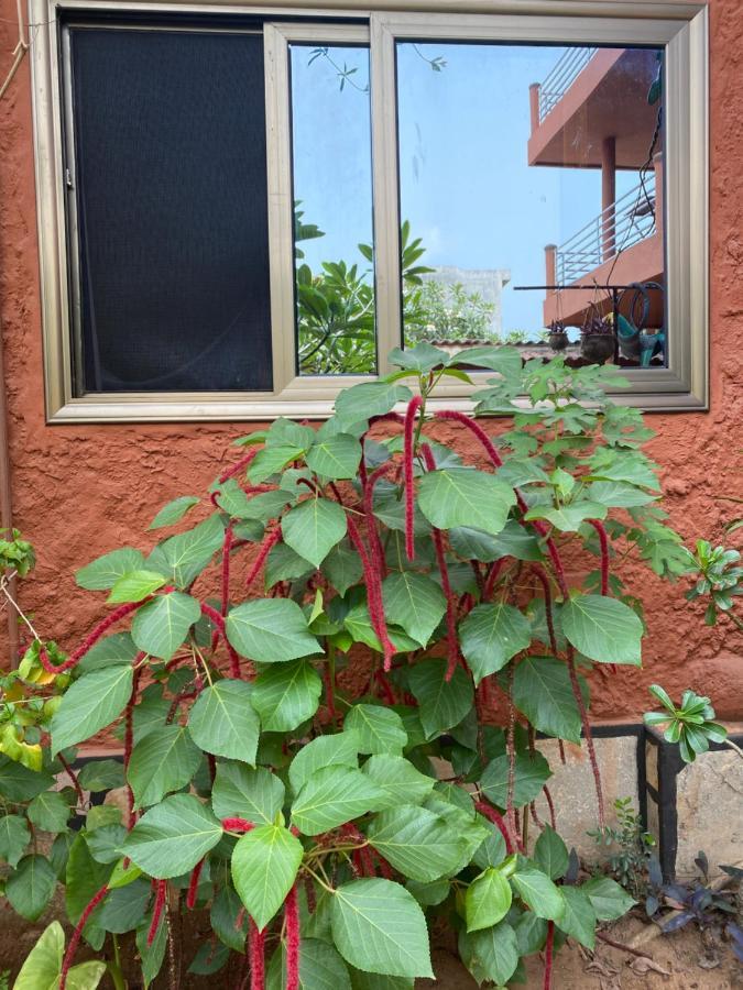 Residences Ouadada Porto-Novo Εξωτερικό φωτογραφία